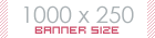 1000x250