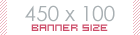 450x100