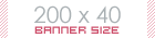 200x40